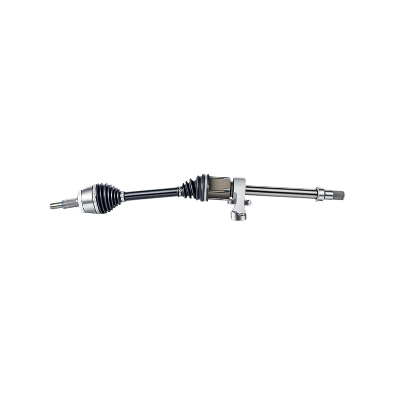 SA3HE-2203020A CV Axem Conventus cum subsidio intermedio
